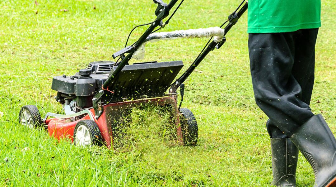 lawn mowing gold coast