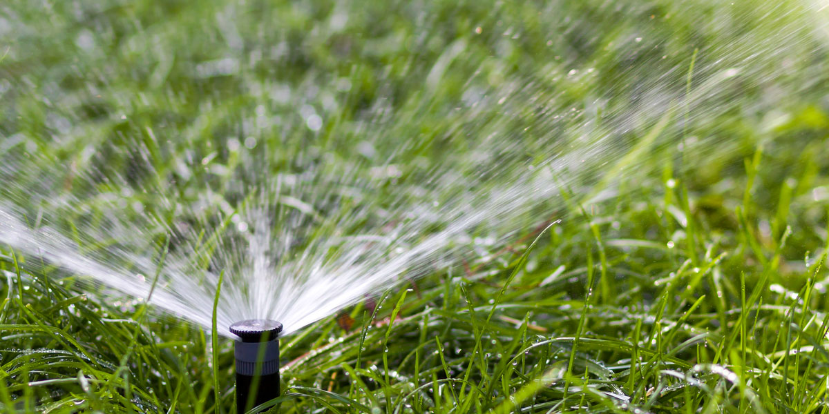 Watering Your New Turf New Lawn Watering Turf Growers Direct
